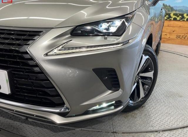 
								LEXUS NX FOR SALE IN KENYA full									